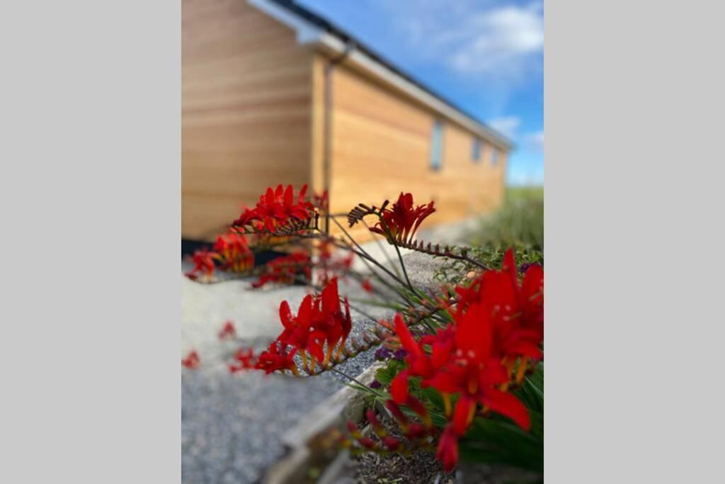 The Gallafield, Self Catering Bungalow , Stornoway สตอร์โนเวย์ ภายนอก รูปภาพ